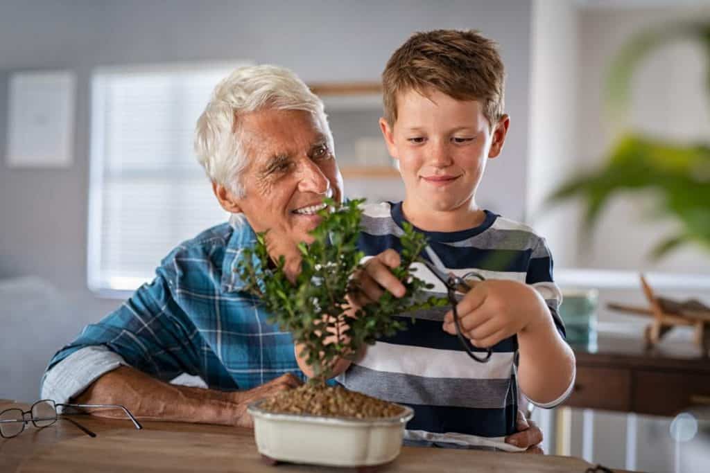 Plant care with an elderly woman and young boy, promoting family and caregiving themes.
