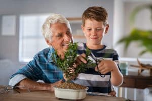 Plant care with an elderly woman and young boy, promoting family and caregiving themes.
