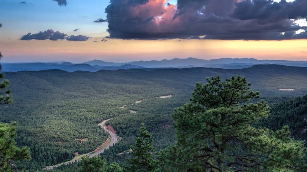 A lush green forest with mountain views and a winding road at sunset.