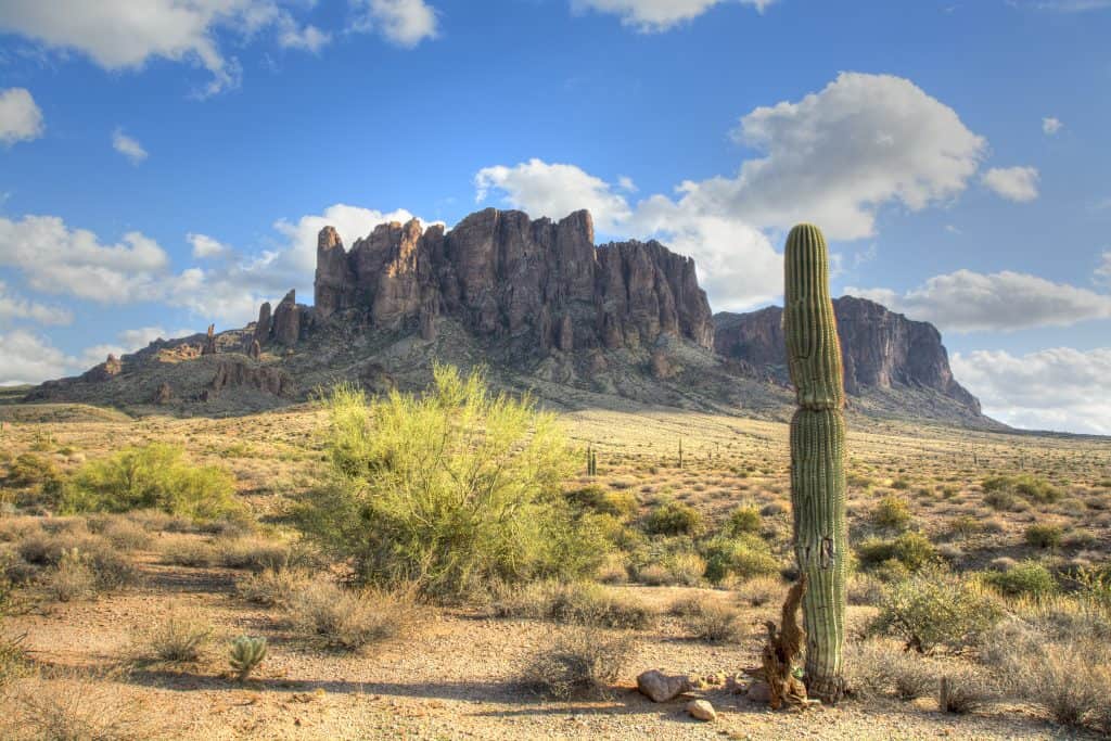 Desert landscape with mountain and cactus in Arizona.