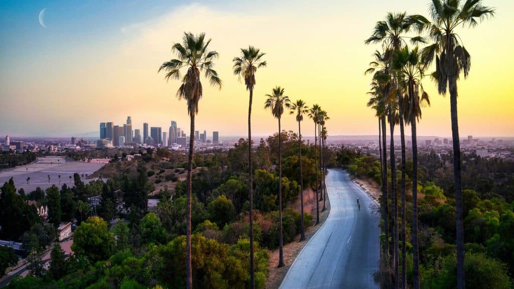 Sunset view of palm trees along a winding road with Los Angeles skyline in the background.