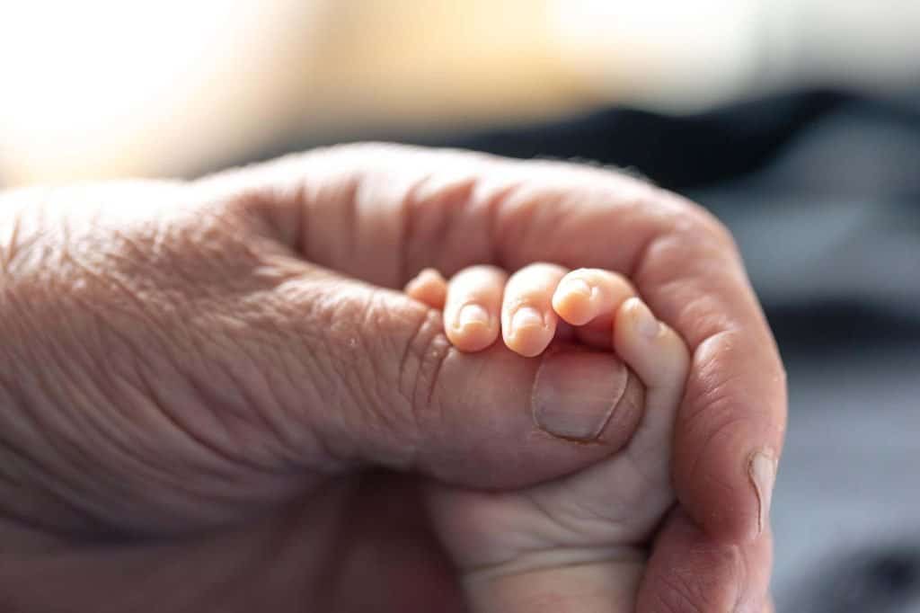 Close-up of an adult hand gently holding a baby's hand, symbolizing care and support.