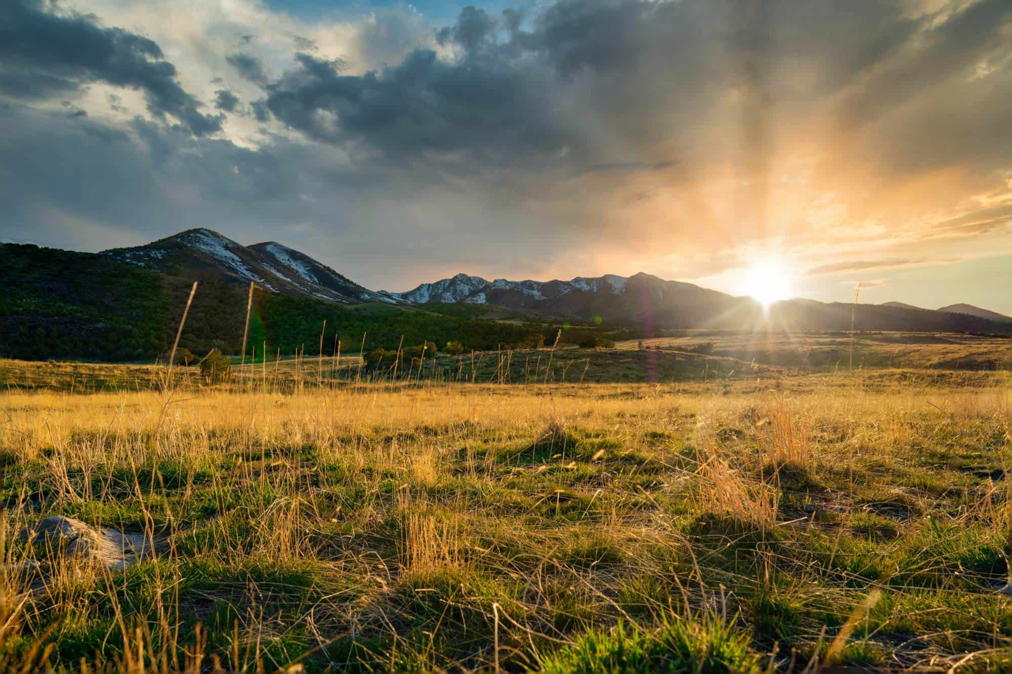 A lush mountain landscape at sunrise with open fields and distant peaks.